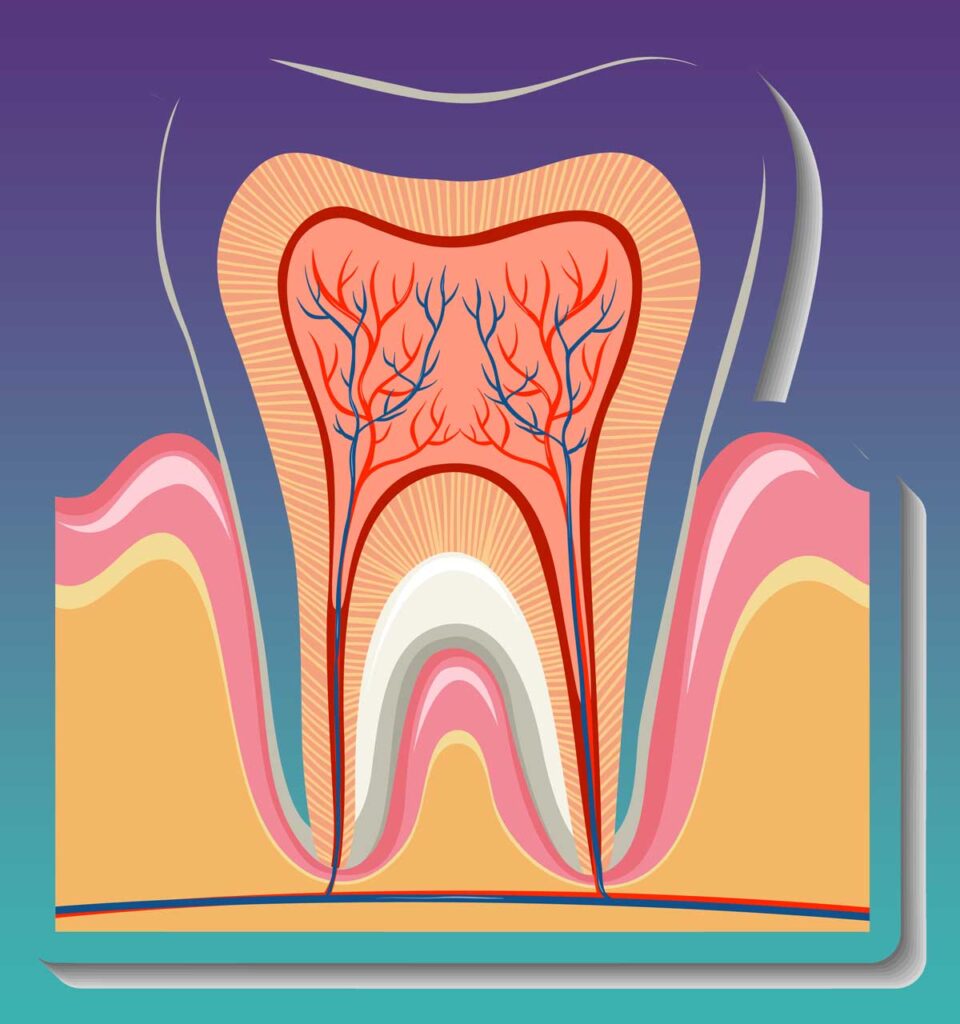 Alanya Diş Tedavisi