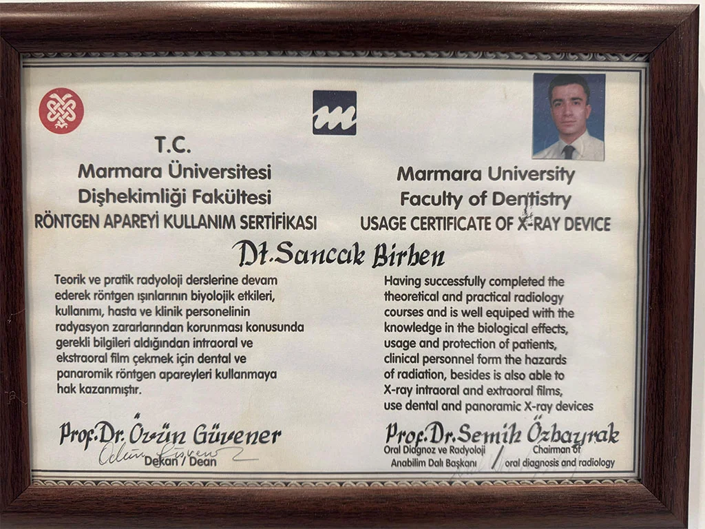 diplomy 2